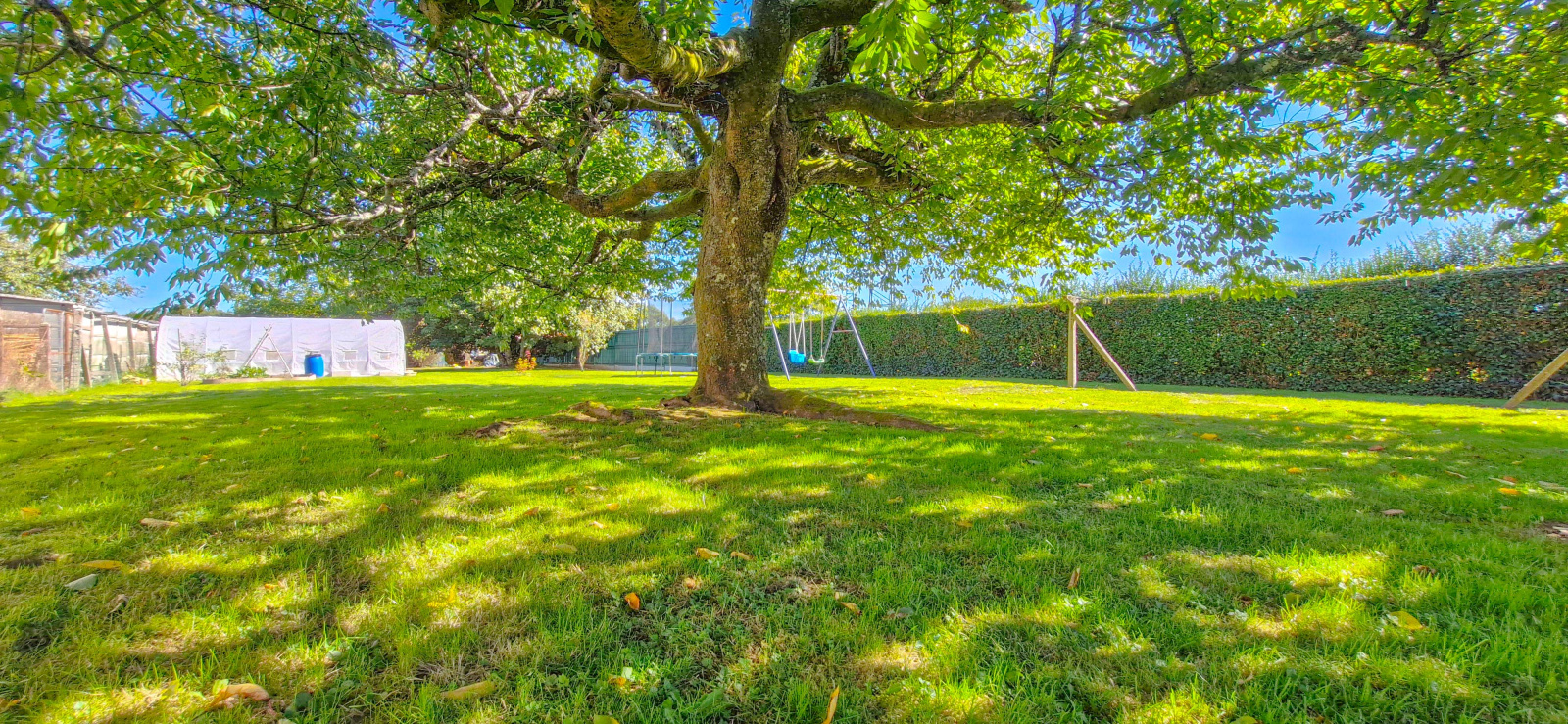 Image_, Maison, Ambazac, ref :665