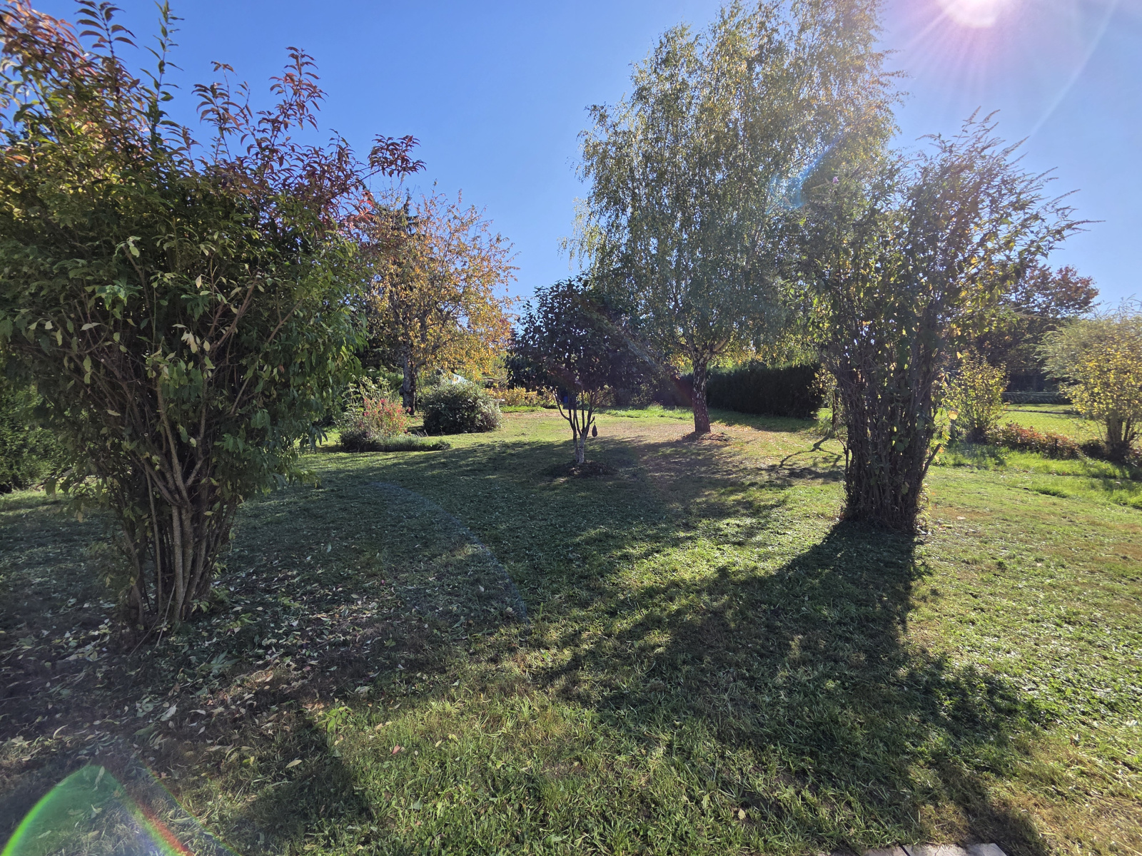 Image_, Maison, Panazol, ref :656