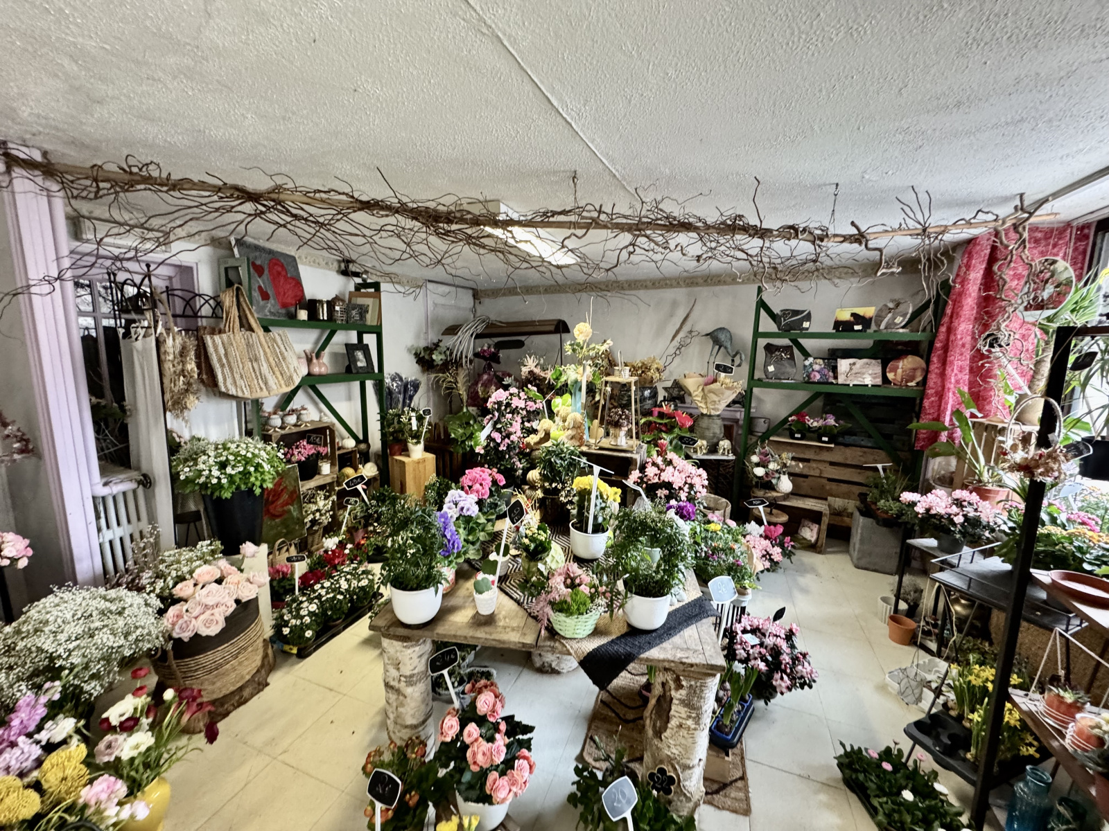 Image_, Autre, Eymoutiers, ref :598