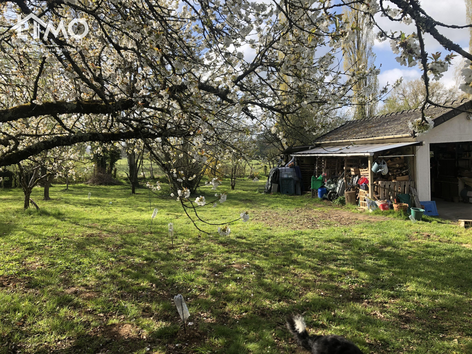 Image_, Maison, Jourgnac, ref :736