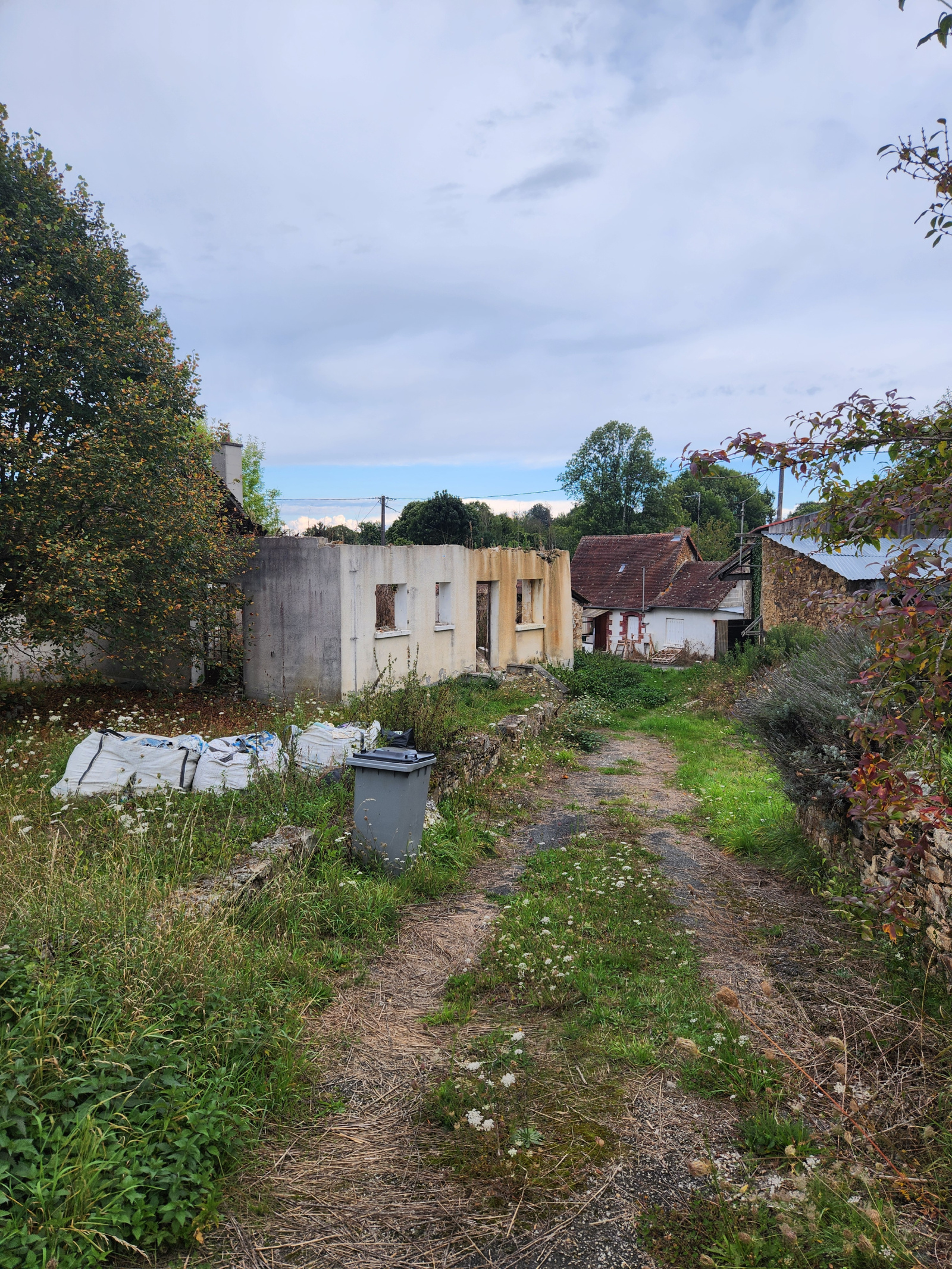 Image_, Terrain, Magnac-Bourg, ref :551