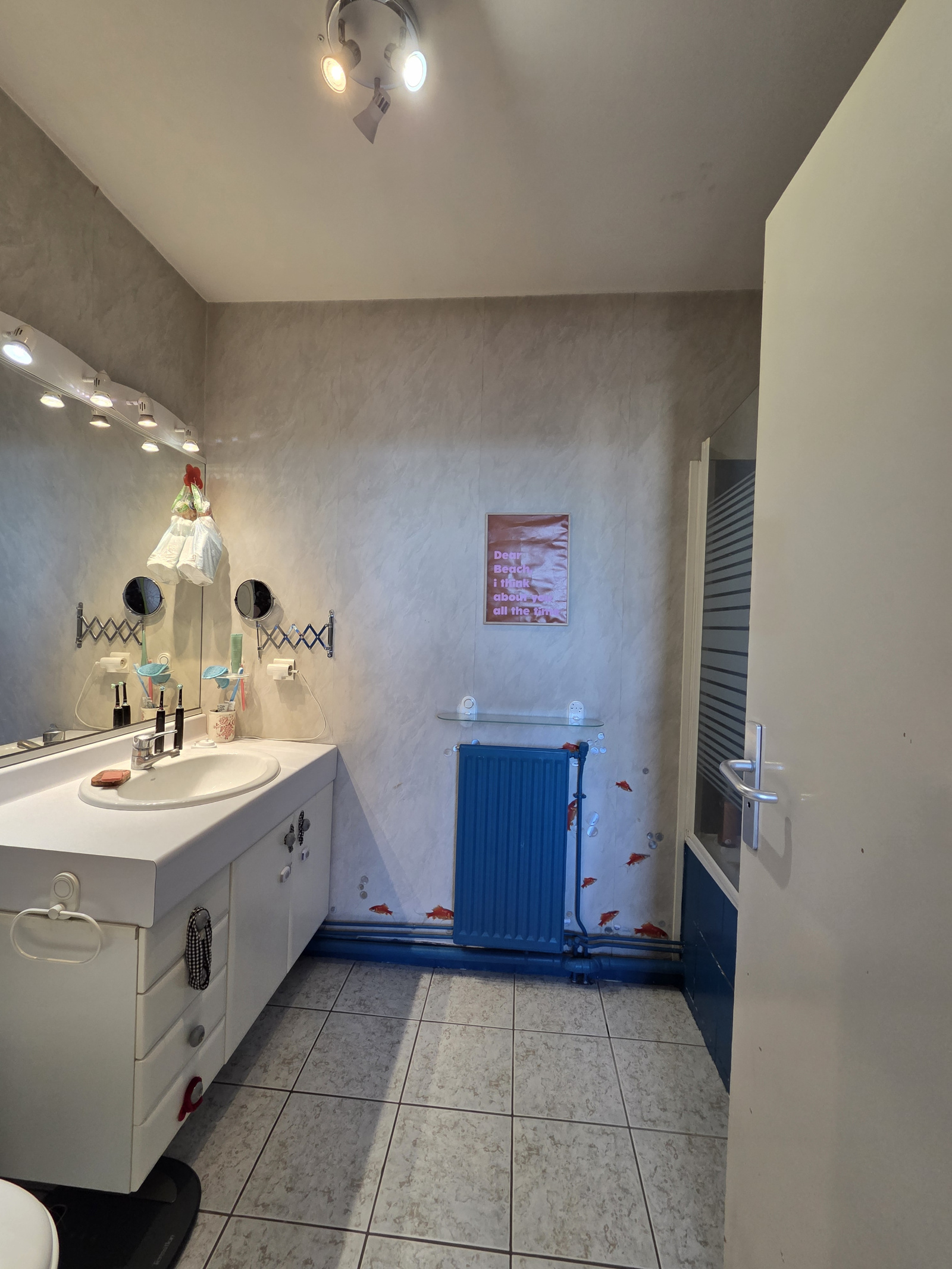 Image_, Appartement, Limoges, ref :684B