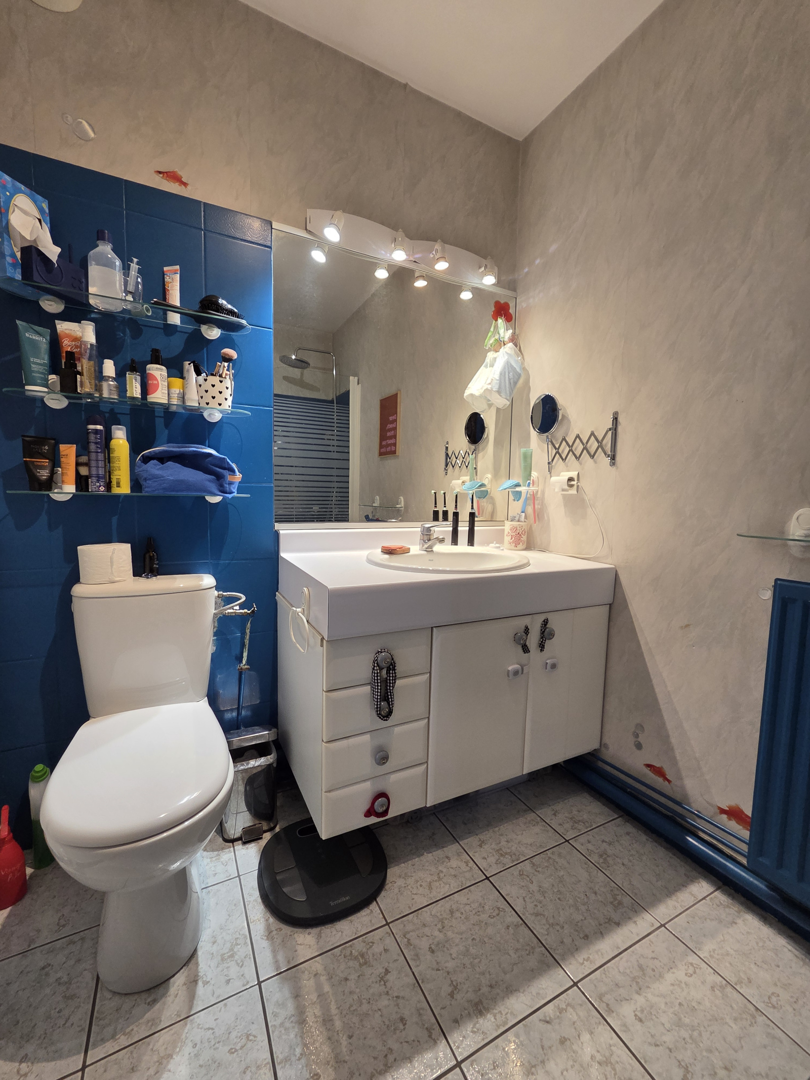 Image_, Appartement, Limoges, ref :684B