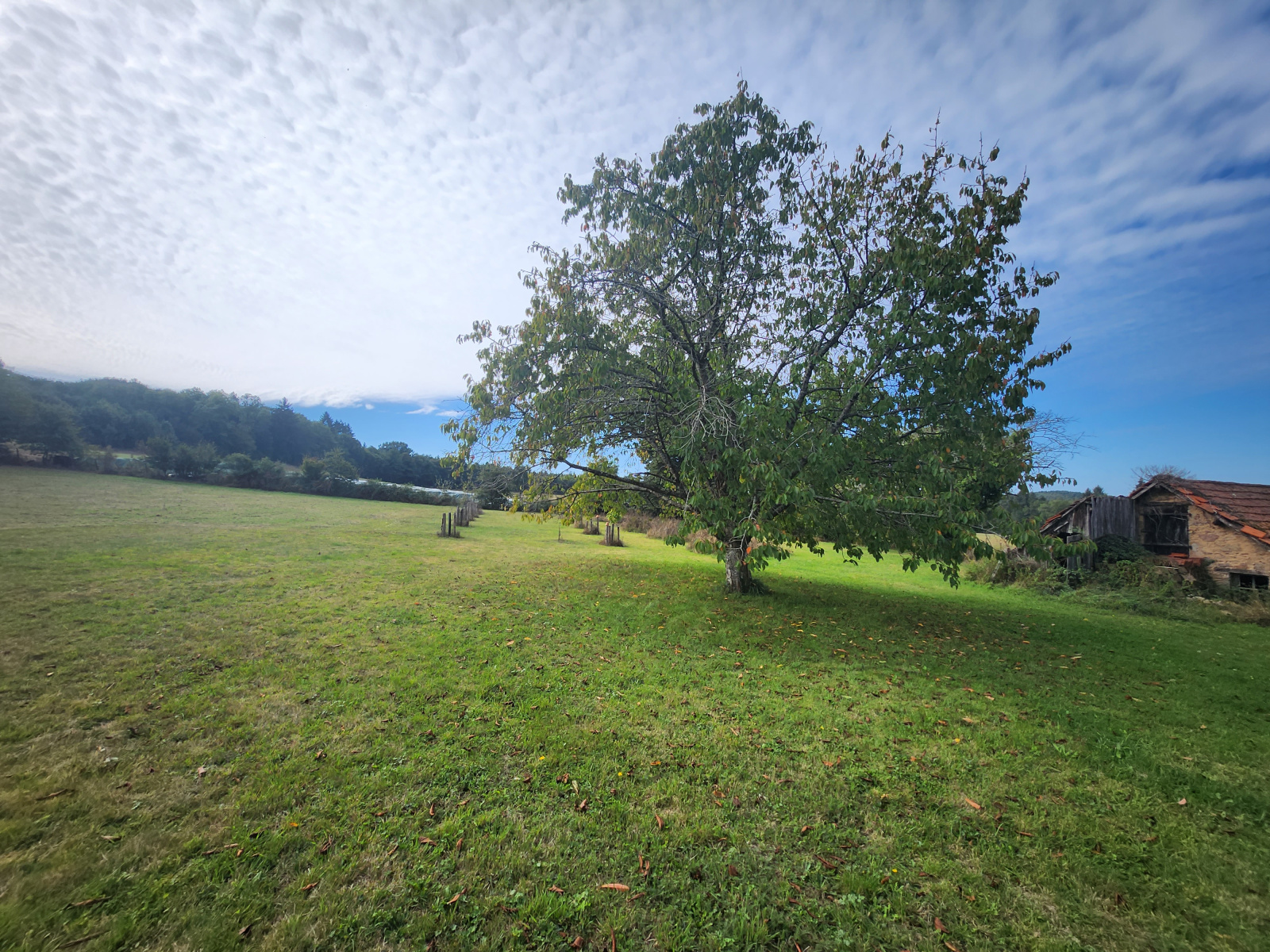 Image_, Maison, Vicq-sur-Breuilh, ref :680