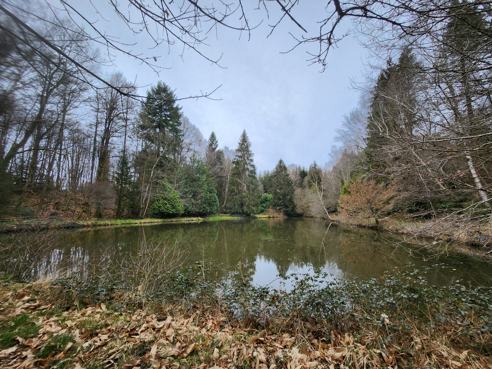 Image_, Terrain de loisir, Bussière-Galant, ref :654