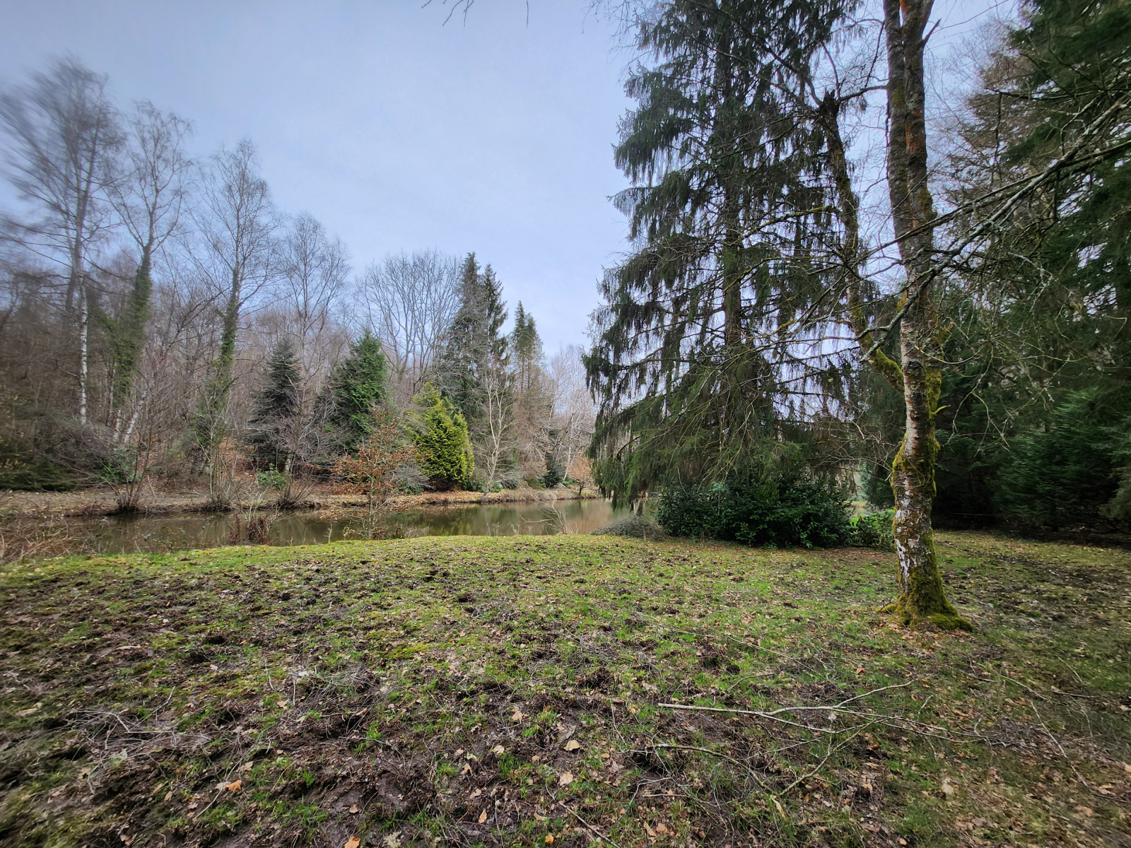Image_, Terrain de loisir, Bussière-Galant, ref :654