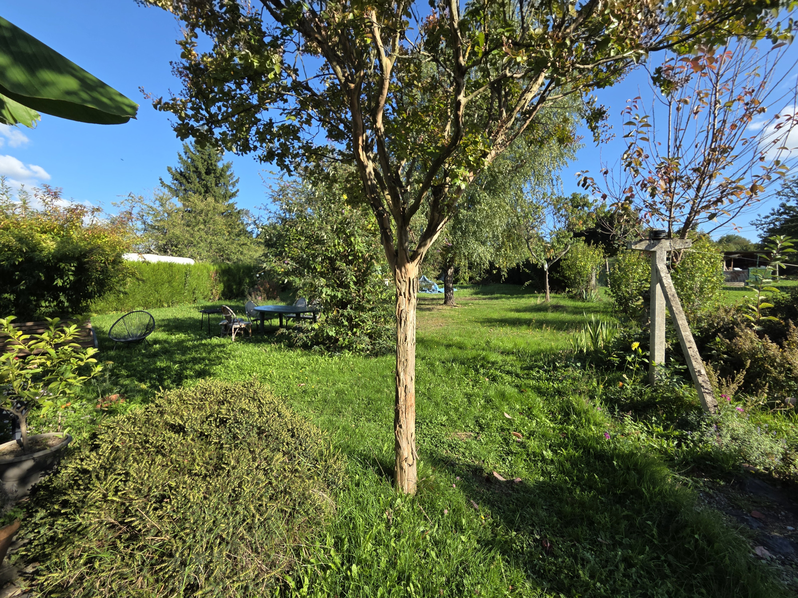 Image_, Maison, Panazol, ref :656B