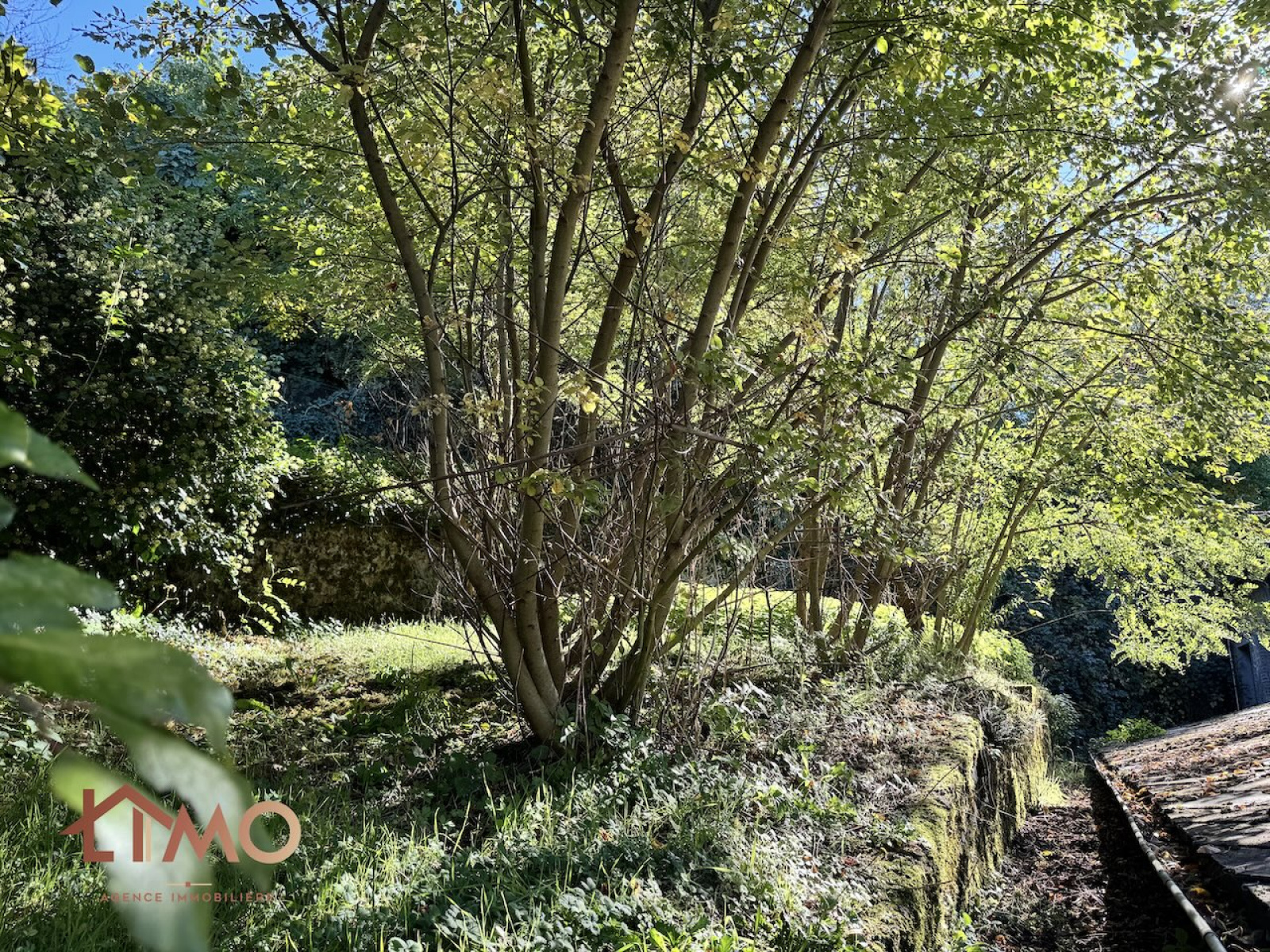 Image_, Garage, Eymoutiers, ref :670