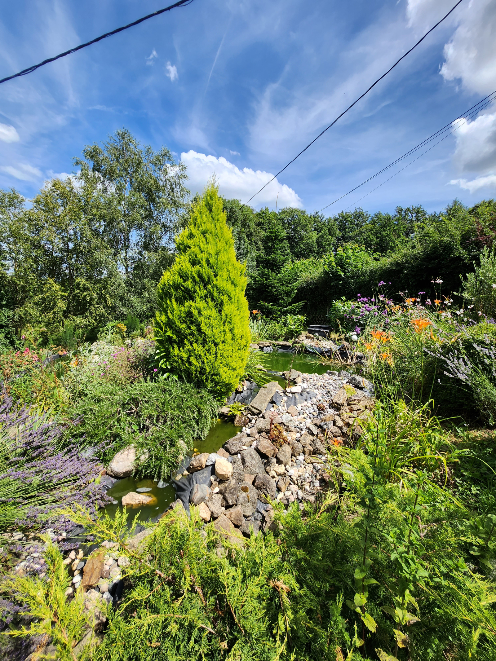 Image_, Maison, Saint-Léonard-de-Noblat, ref :732