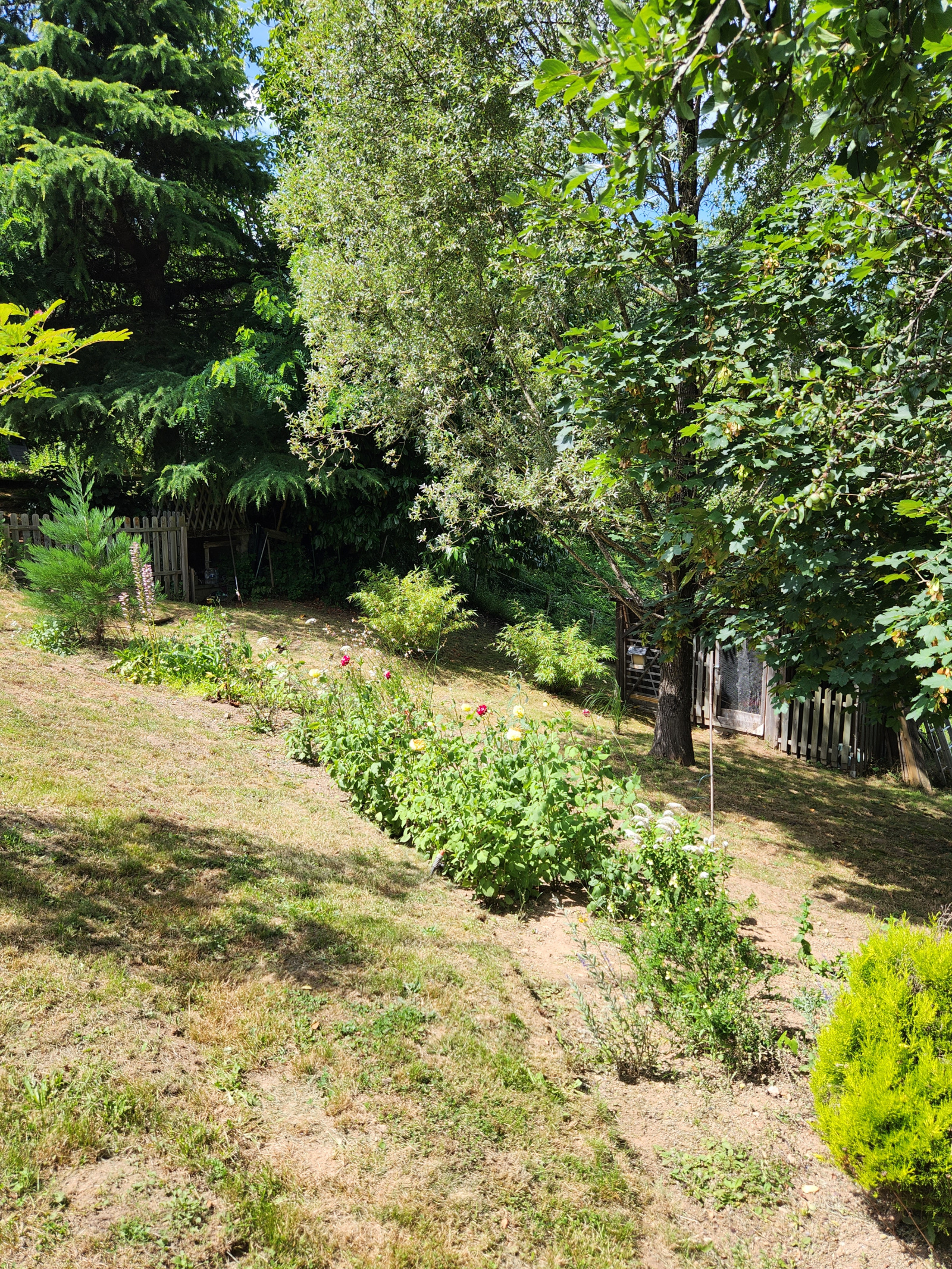 Image_, Maison, Saint-Léonard-de-Noblat, ref :732