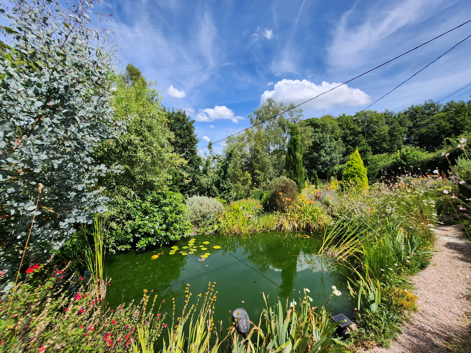 Image_, Maison, Saint-Léonard-de-Noblat, ref :732