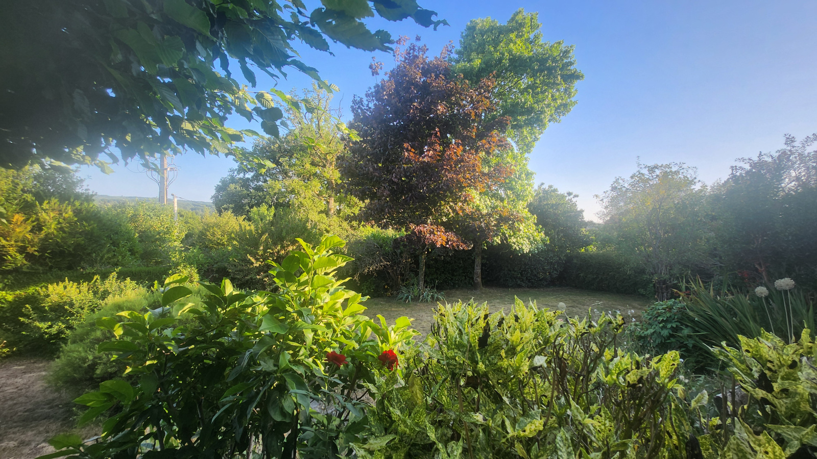 Image_, Maison, Saint-Just-le-Martel, ref :632