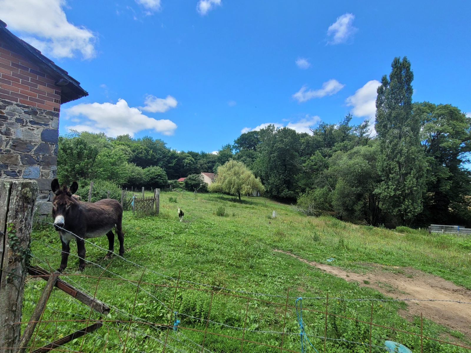 Image_, Maison, Saint-Hilaire-Bonneval, ref :687