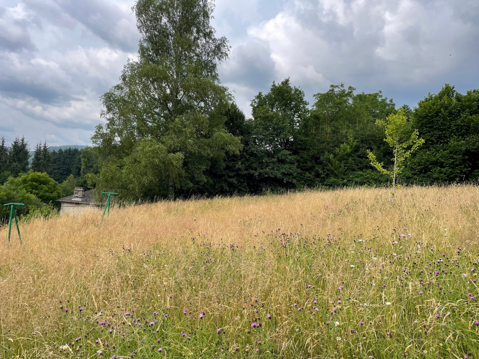 Image_, Maison, Nedde, ref :G628