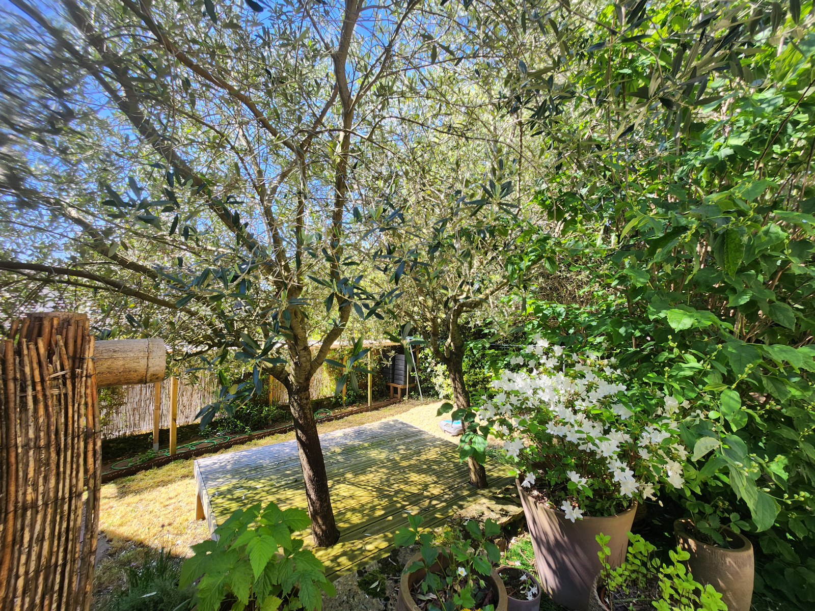 Image_, Maison, Saint-Germain-les-Belles, ref :615