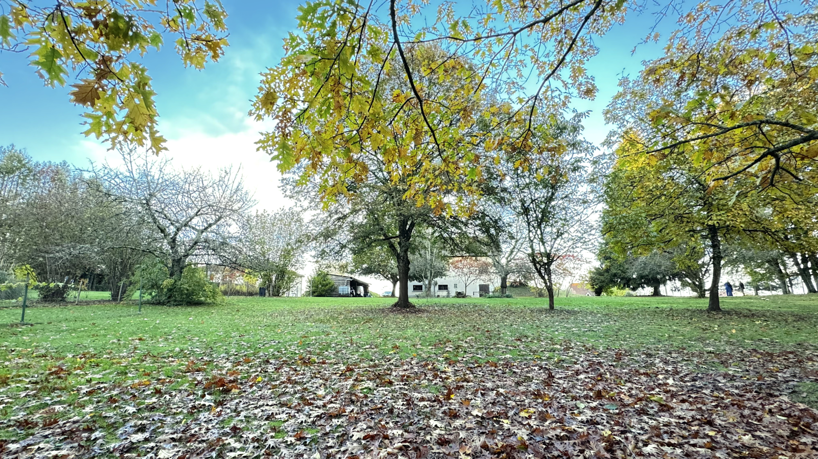 Image_, Maison, Isle, ref :443