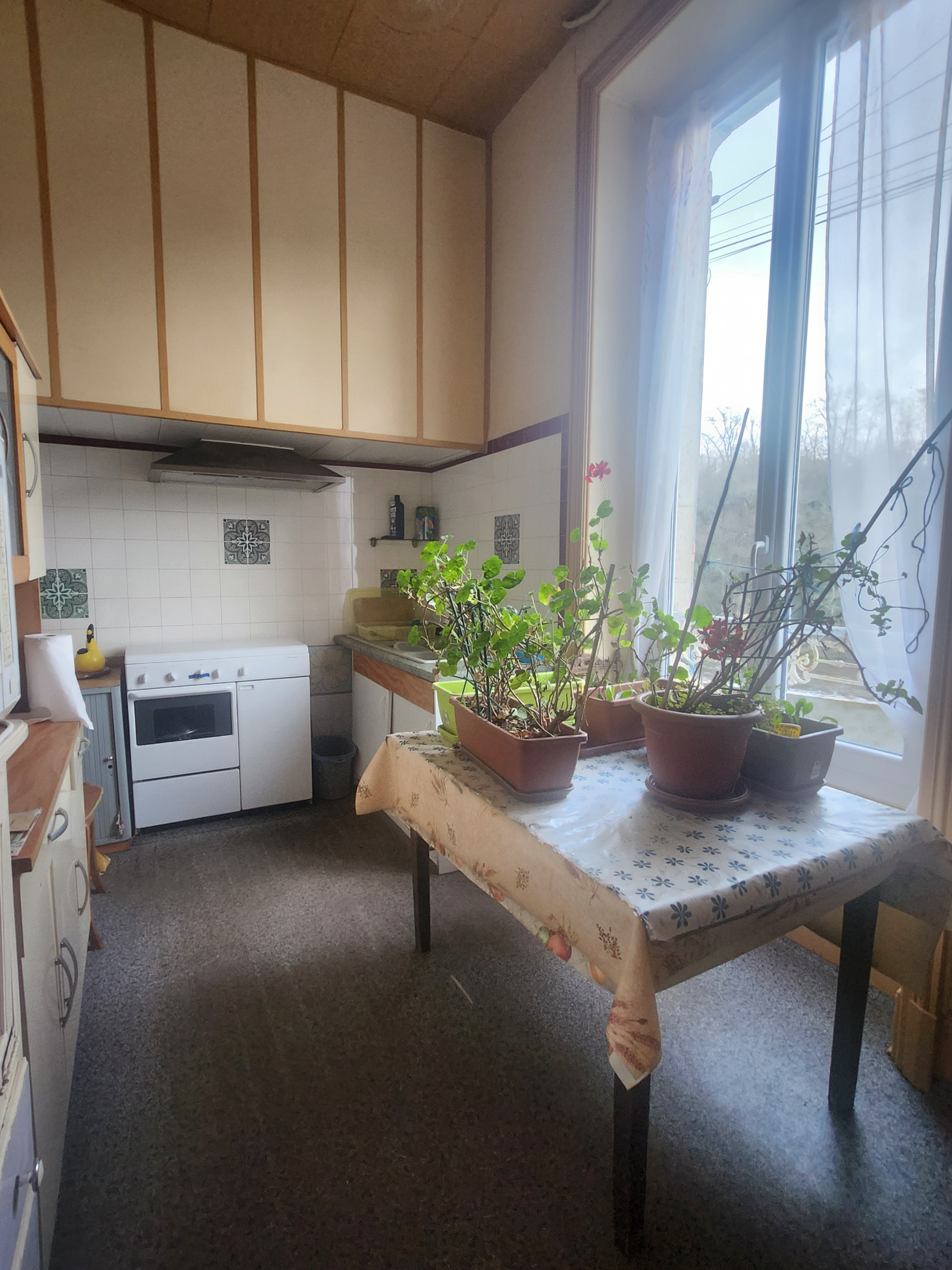 Image_, Maison, Saint-Léonard-de-Noblat, ref :561