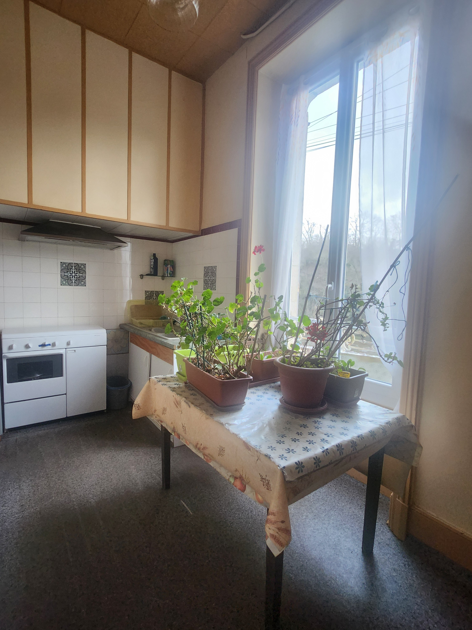 Image_, Maison, Saint-Léonard-de-Noblat, ref :561