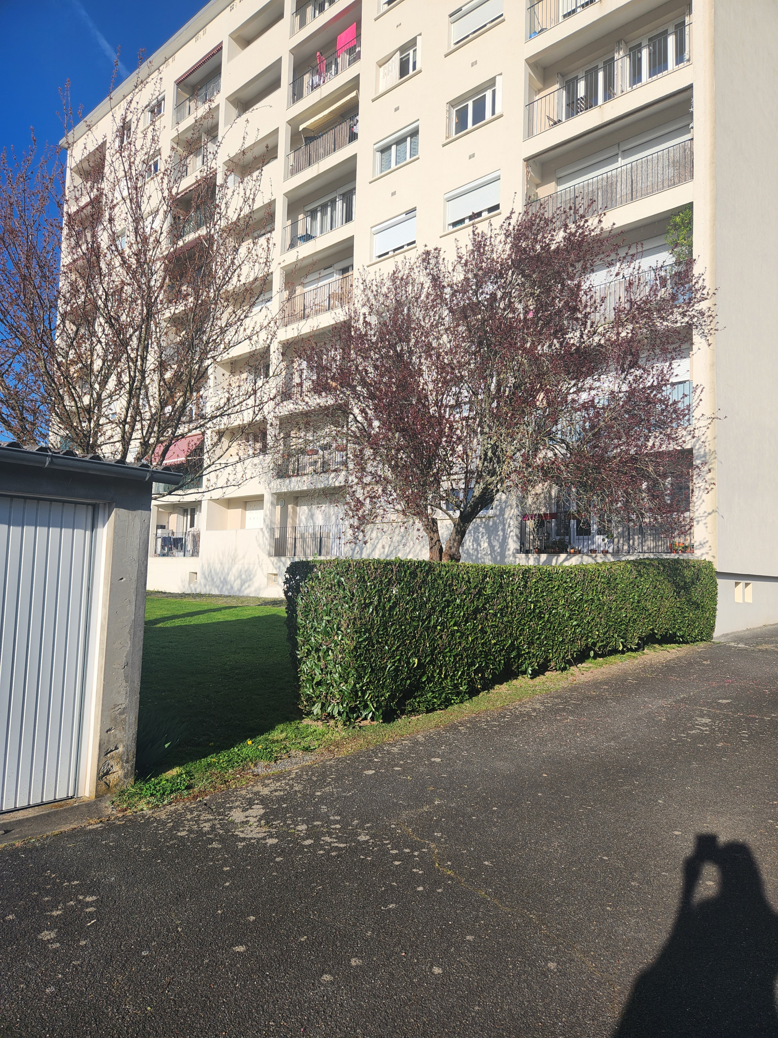 Image_, Appartement, Limoges, ref :480