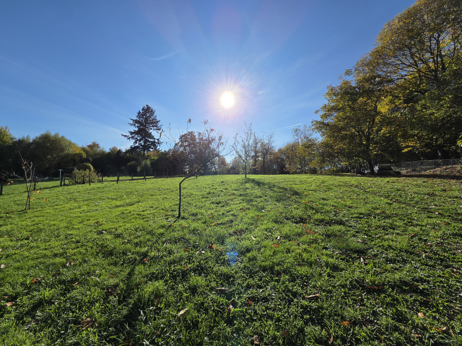 Image_, Maison, Ambazac, ref :674