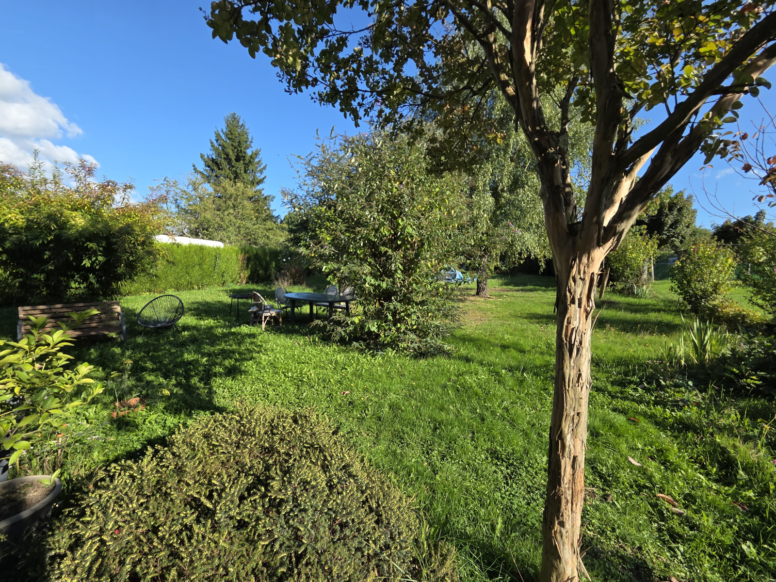 Image_, Maison, Limoges, ref :656B