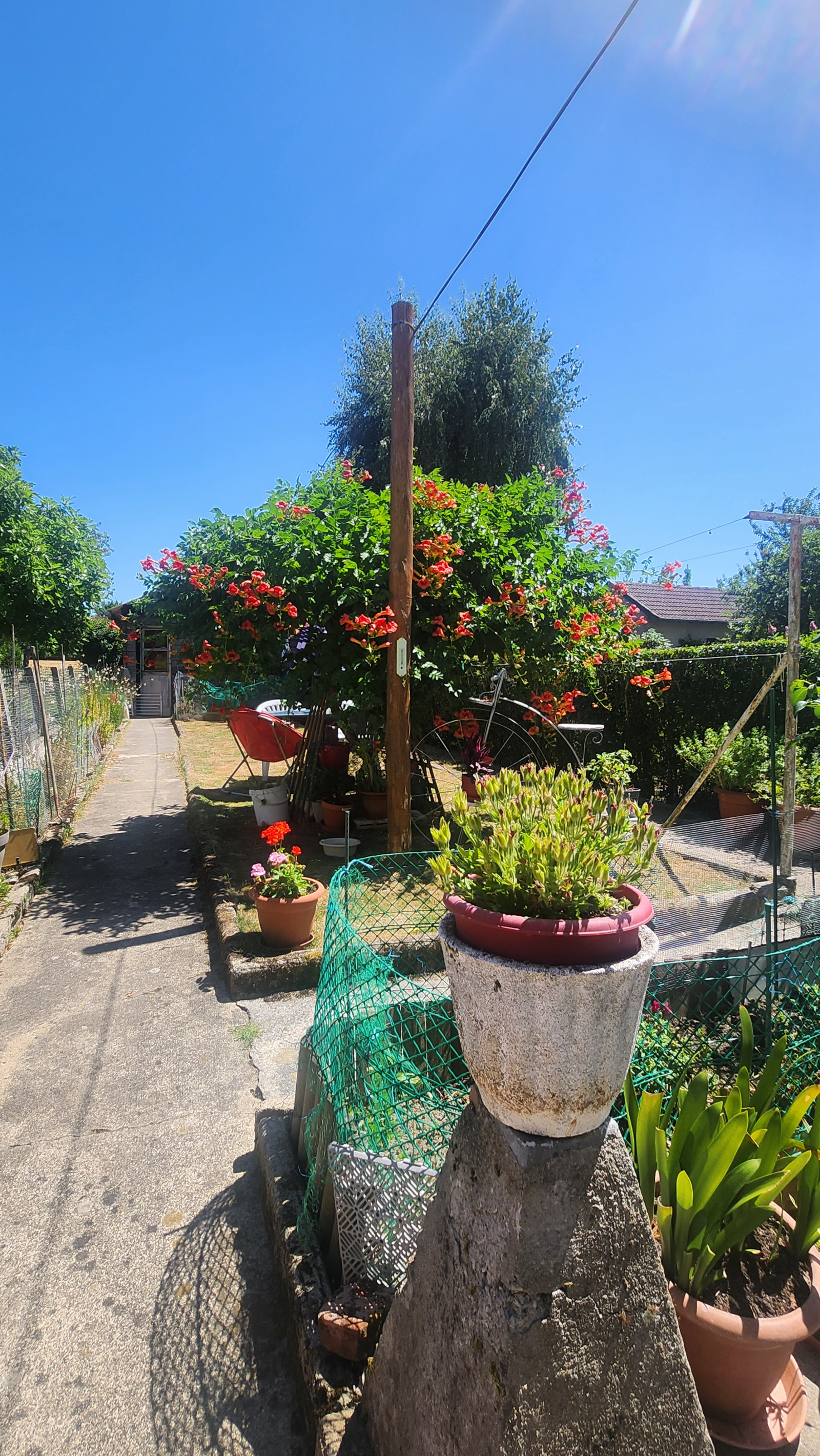 Image_, Maison, Saint-Priest-Taurion, ref :589