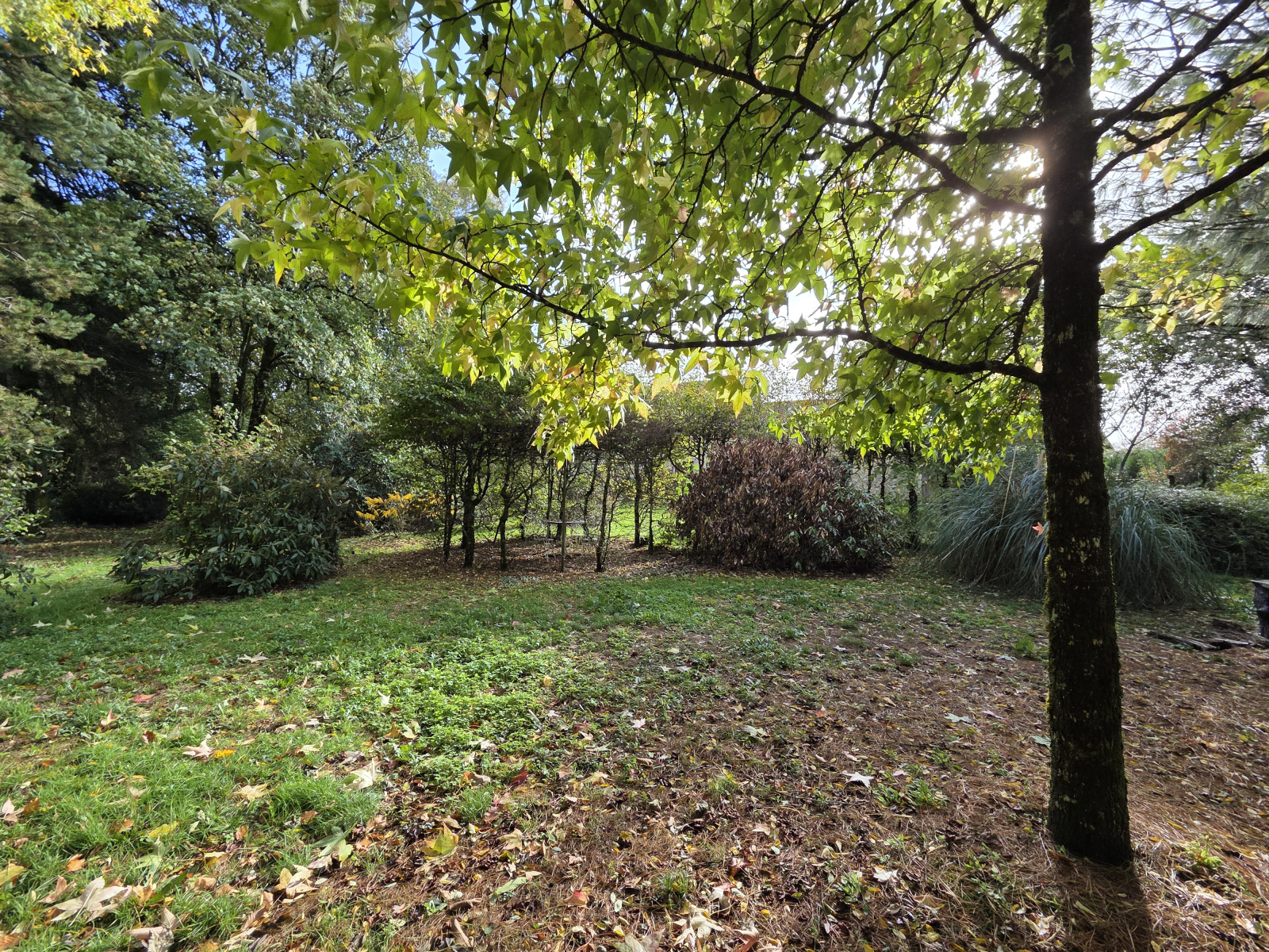 Image_, Maison, La Geneytouse, ref :668B