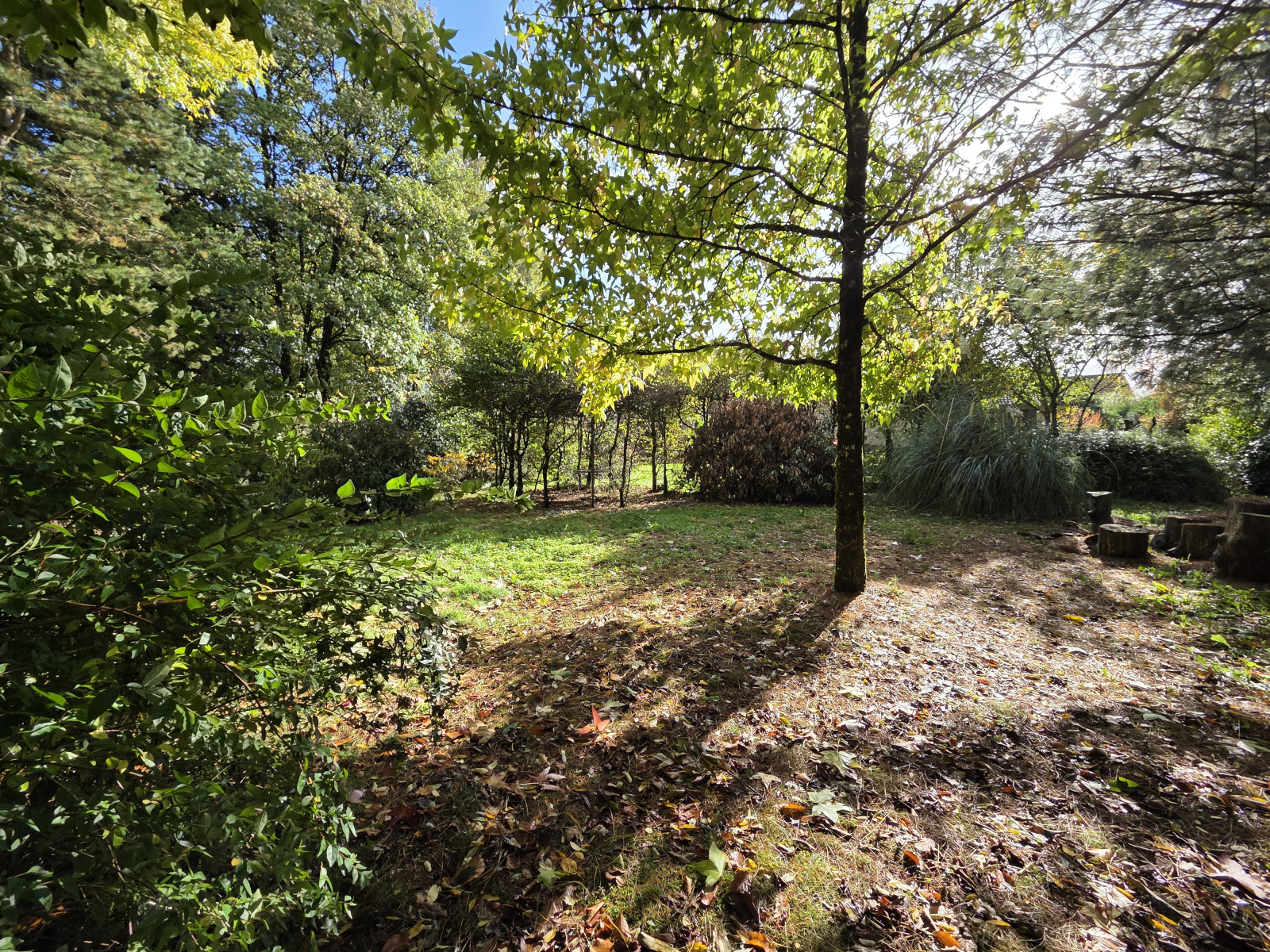 Image_, Maison, La Geneytouse, ref :668B