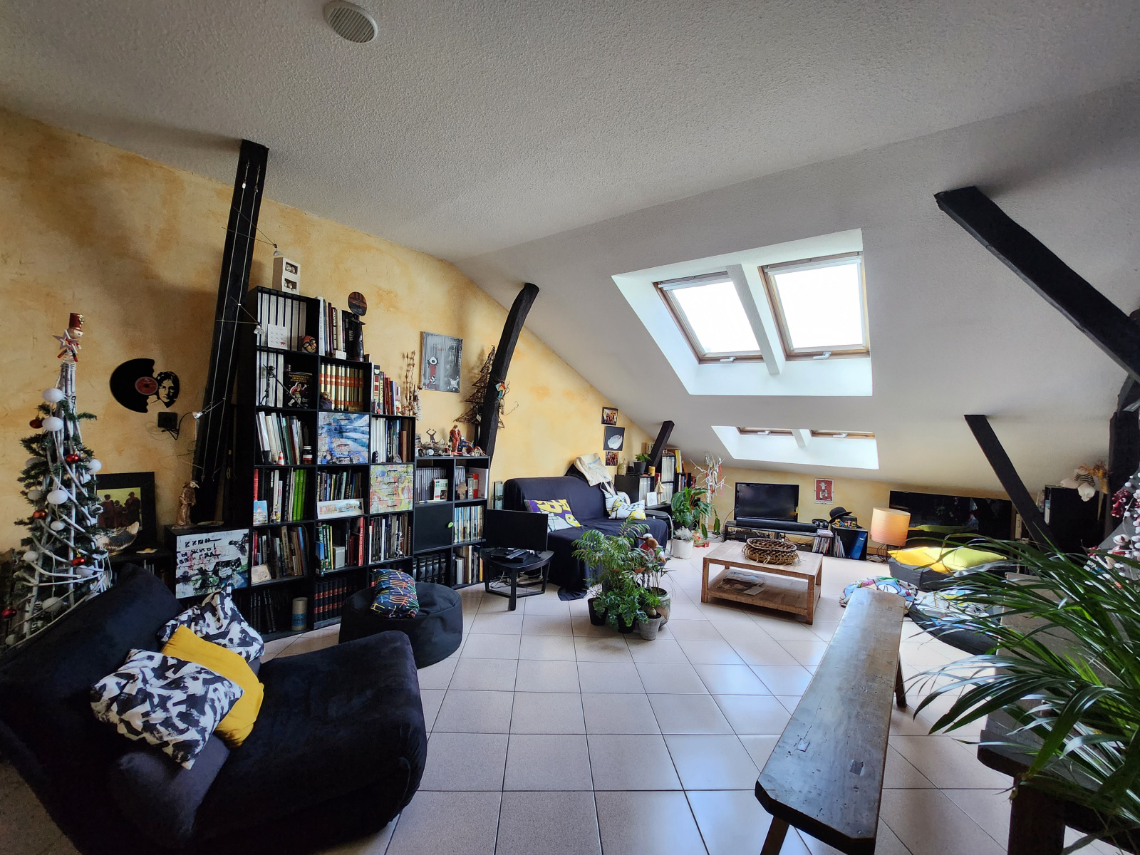 Image_, Appartement, Limoges, ref :387