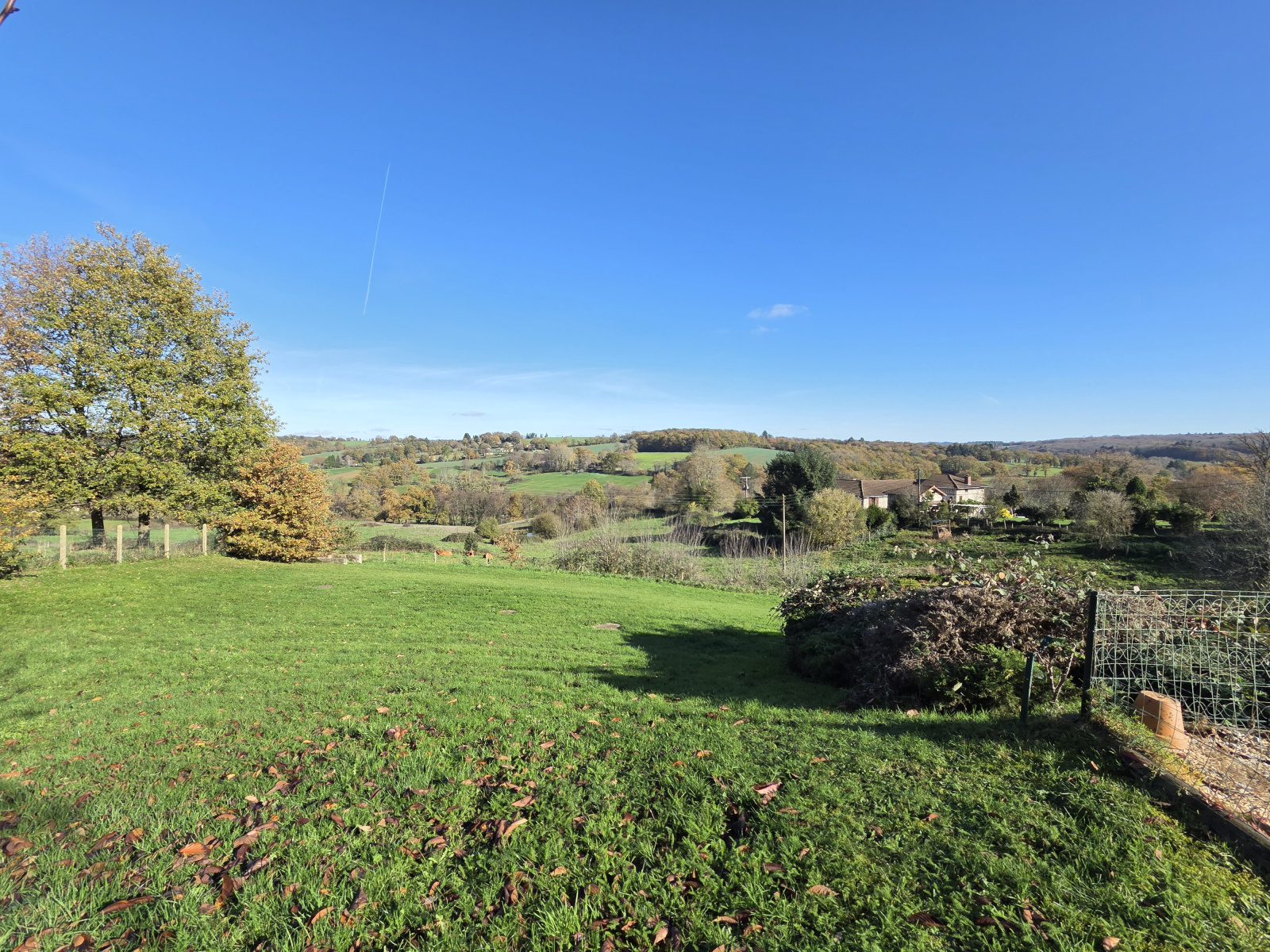 Image_, Maison, Saint-Léonard-de-Noblat, ref :685