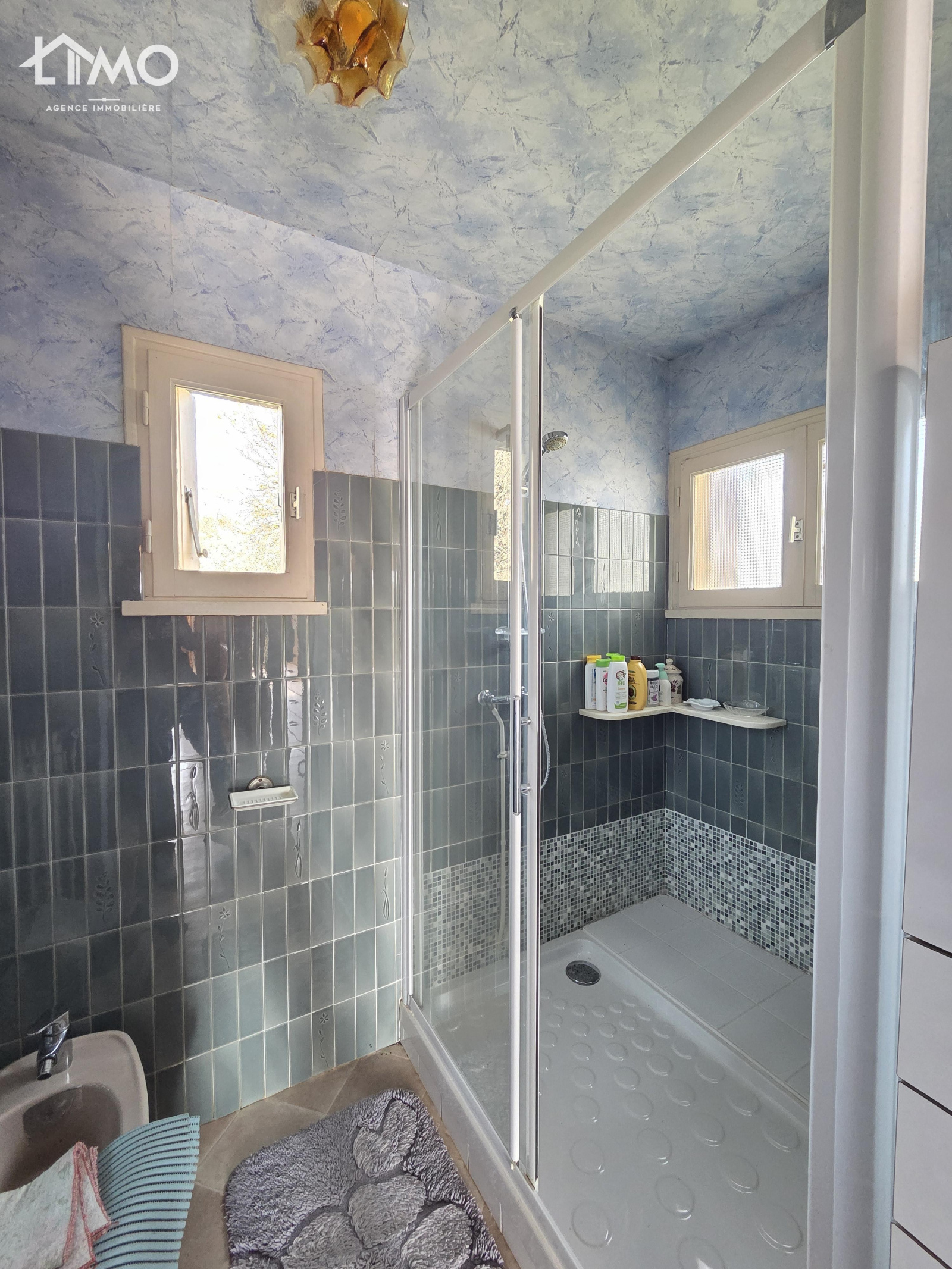 Image_, Maison, Isle, ref :728