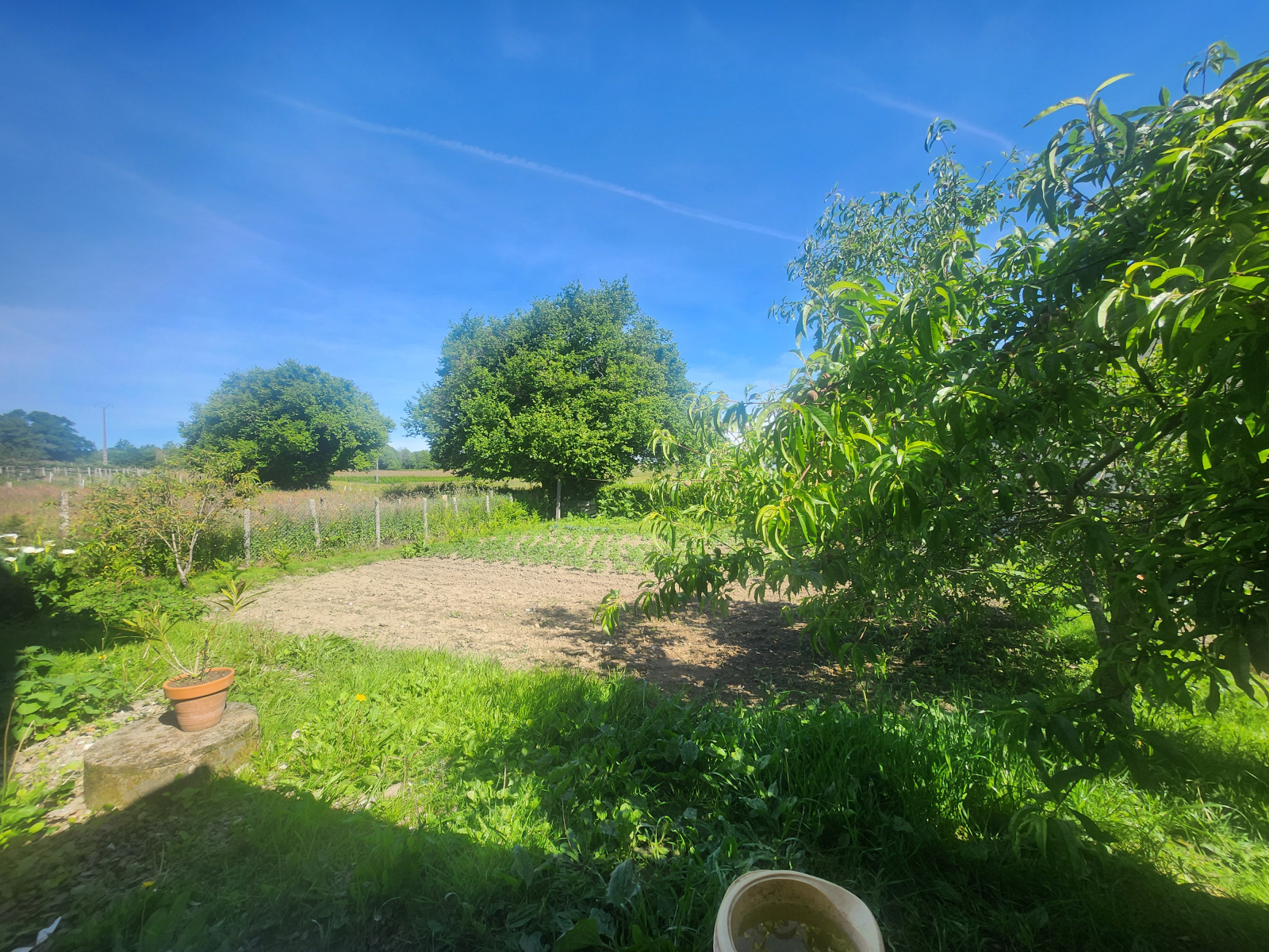 Image_, Maison, Dournazac, ref :622