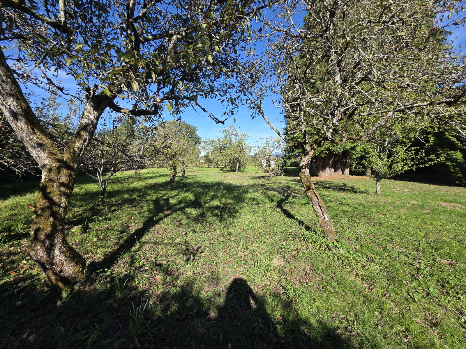 Image_, Maison, Feytiat, ref :663B2