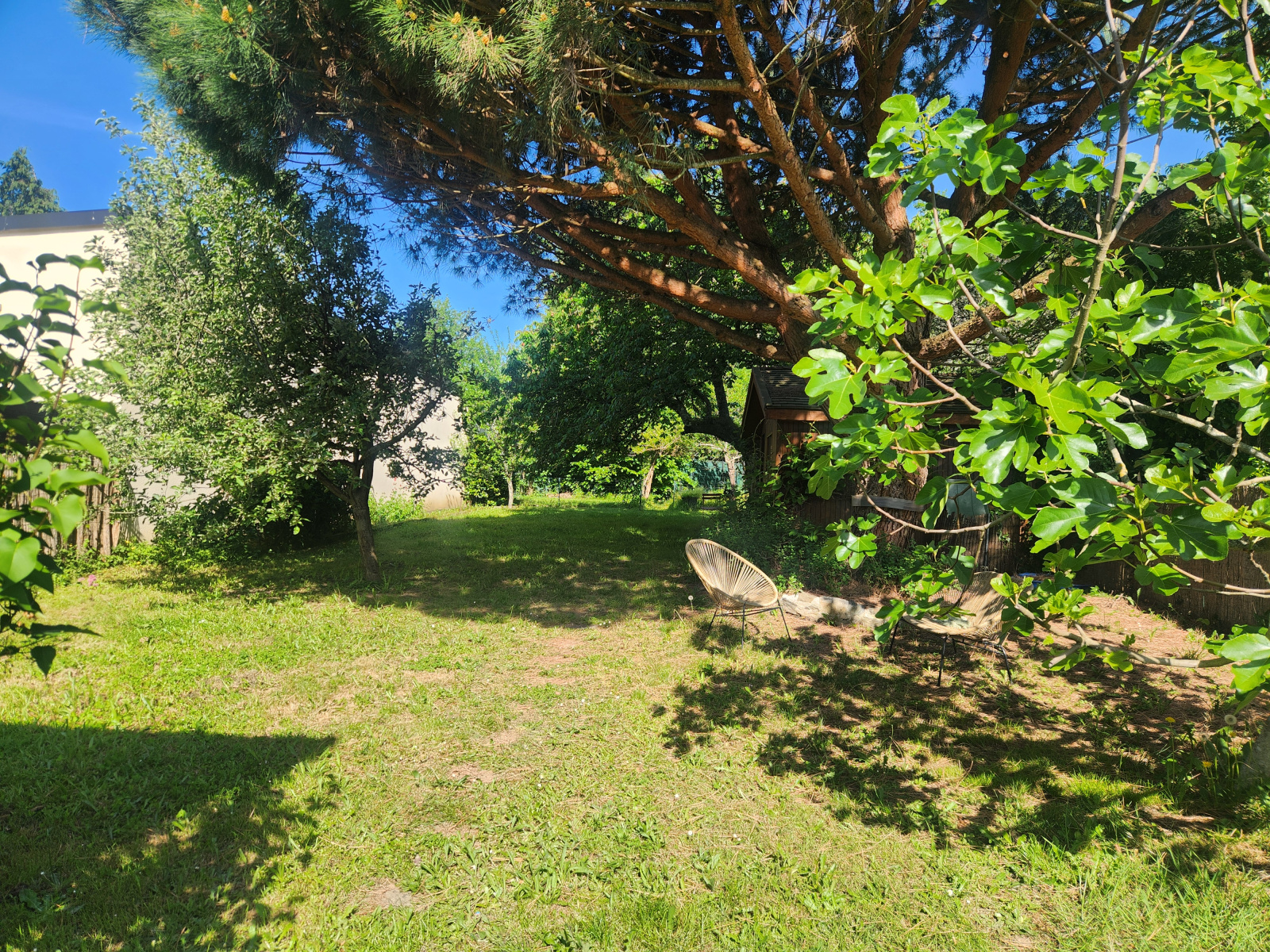 Image_, Maison, Isle, ref :689