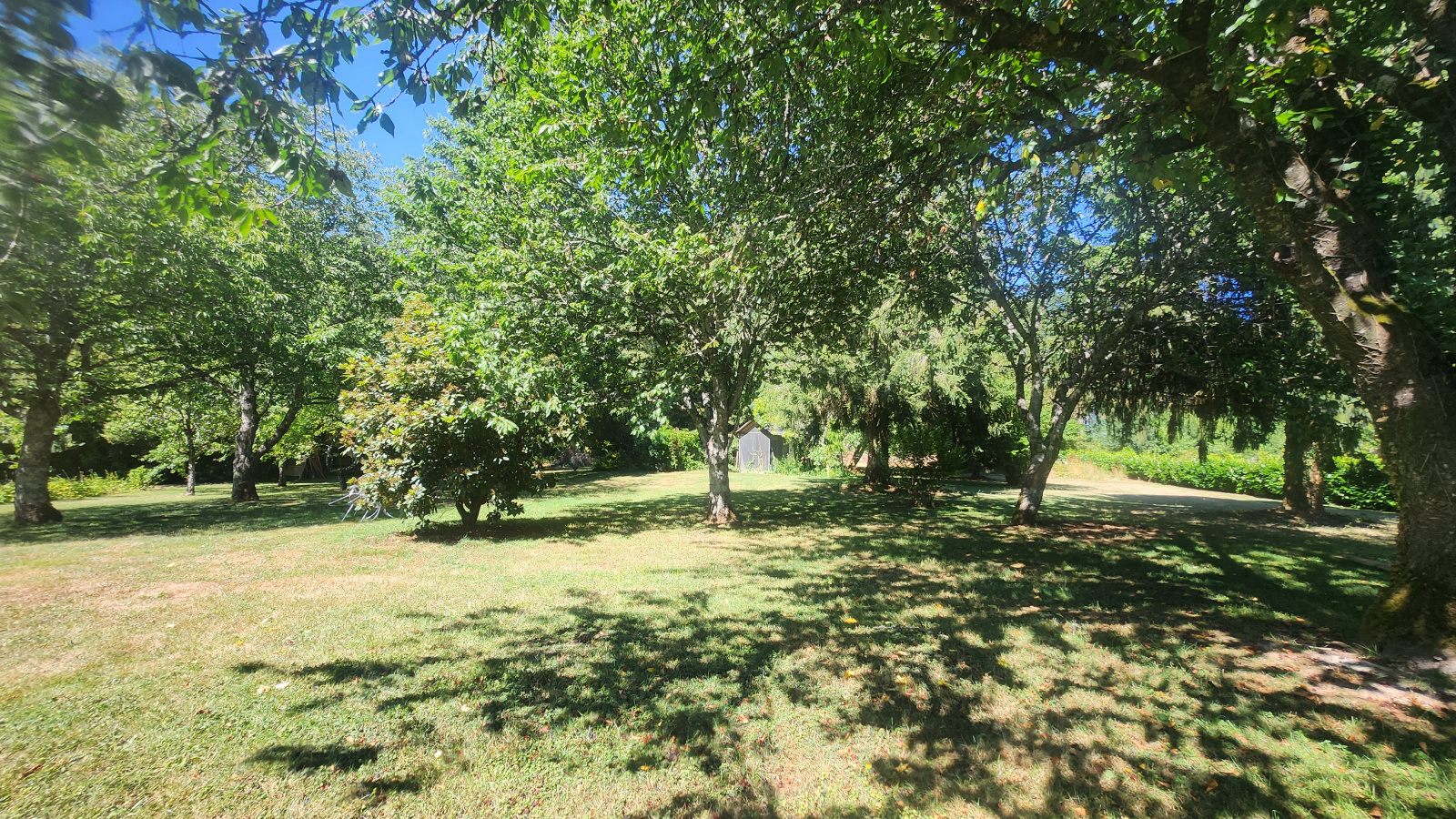 Image_, Maison, Champnétery, ref :636